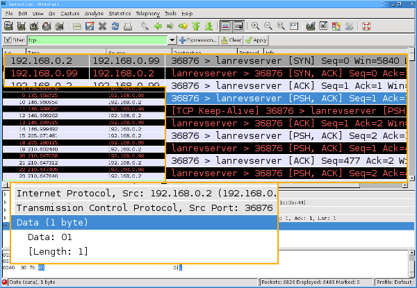 LANrev packets in Wireshark