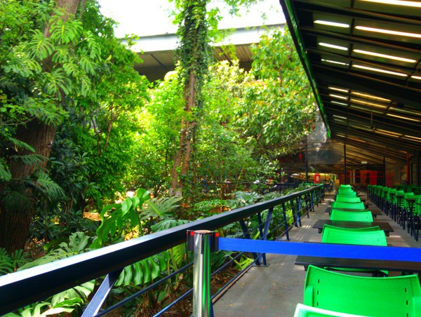 From the Cafe at Centro Cultural São Paulo