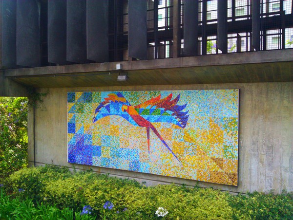 Parrot Mural