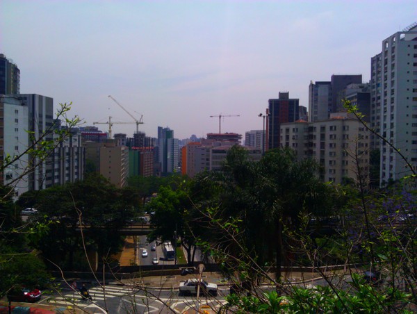 IMG_20111107_114653.jpg