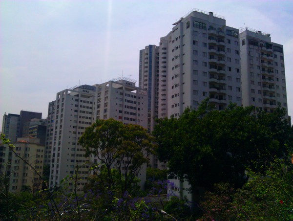 IMG_20111107_114659.jpg