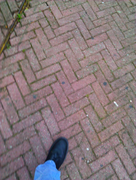IMG_20111109_113331.jpg