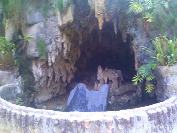IMG_20111109_175056.jpg