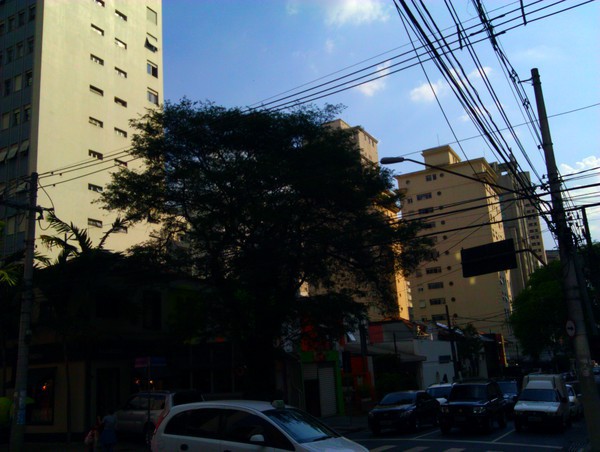 IMG_20111110_162635.jpg