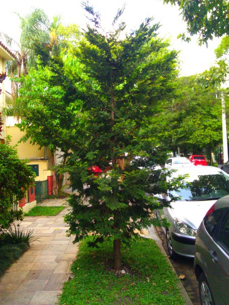 IMG_20111110_163735.jpg