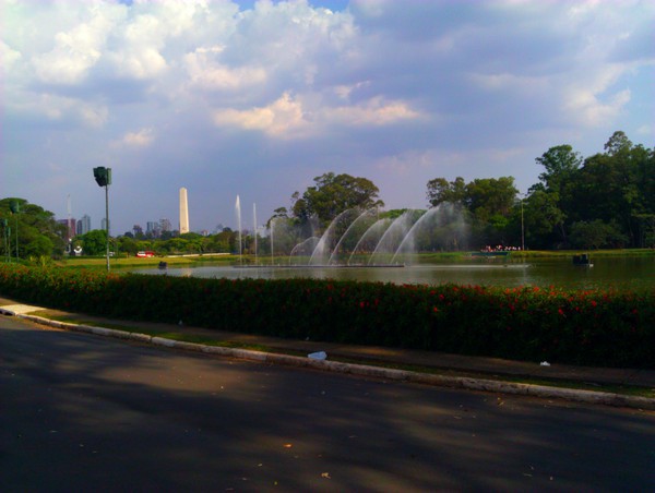 IMG_20111110_165117.jpg