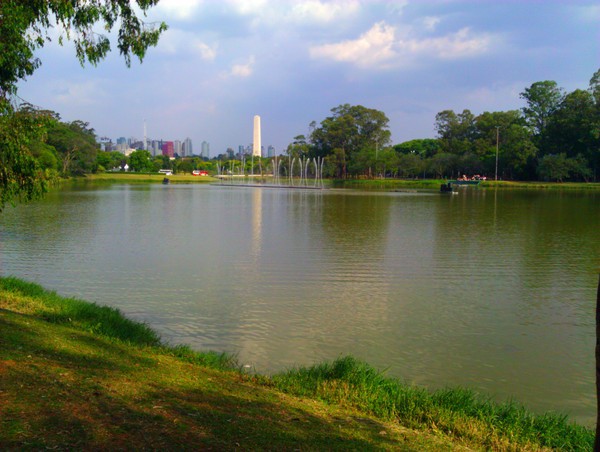 IMG_20111110_165157.jpg