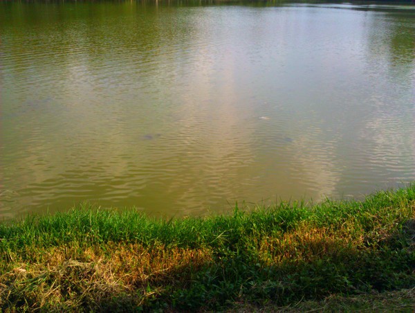 IMG_20111110_165208.jpg