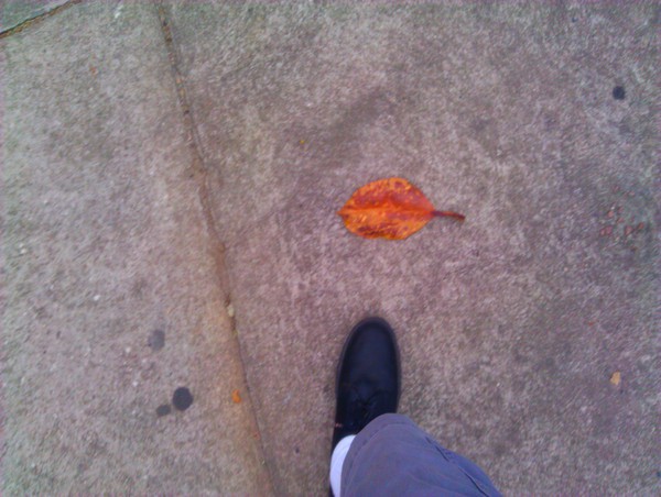 IMG_20111111_114531.jpg